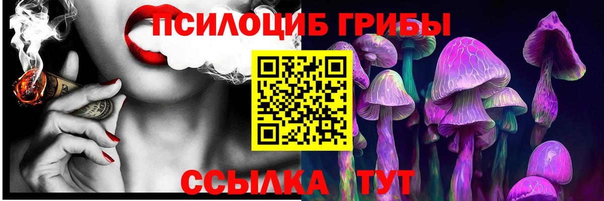 Псилоцибиновые грибы Psilocybine cubensis Менделеевск